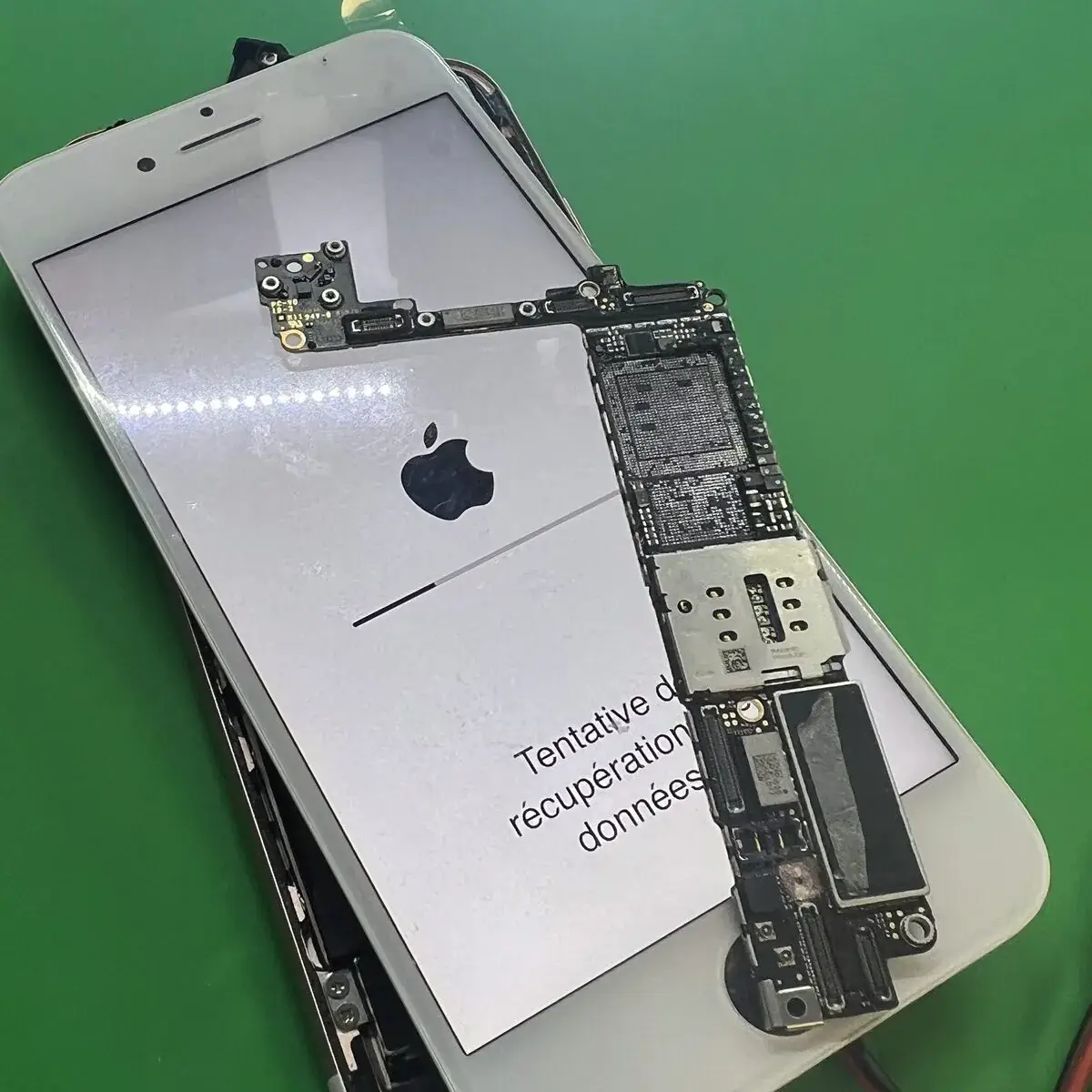 Récupération de données iPhone après panne logique chez Phonelab Store Genève